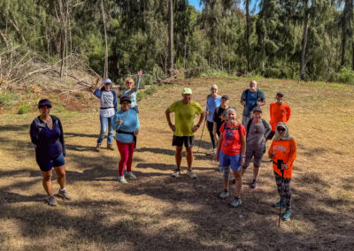 Marathon and Endurance Training for All Ages and Abilities: Runners, Joggers and Walkers in Hawaii using the Hard-Easy System